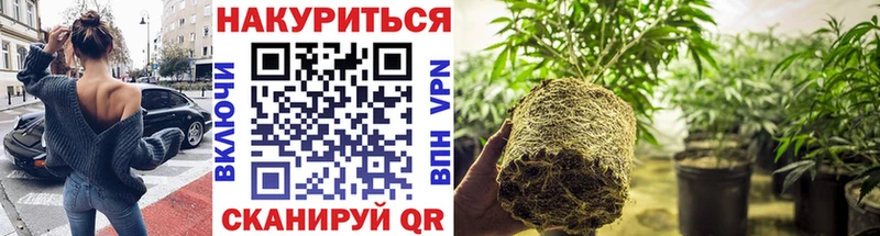 наркотики  Гусиноозёрск  Конопля Amnesia 